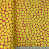Kaffe Fassett Fabric Collection