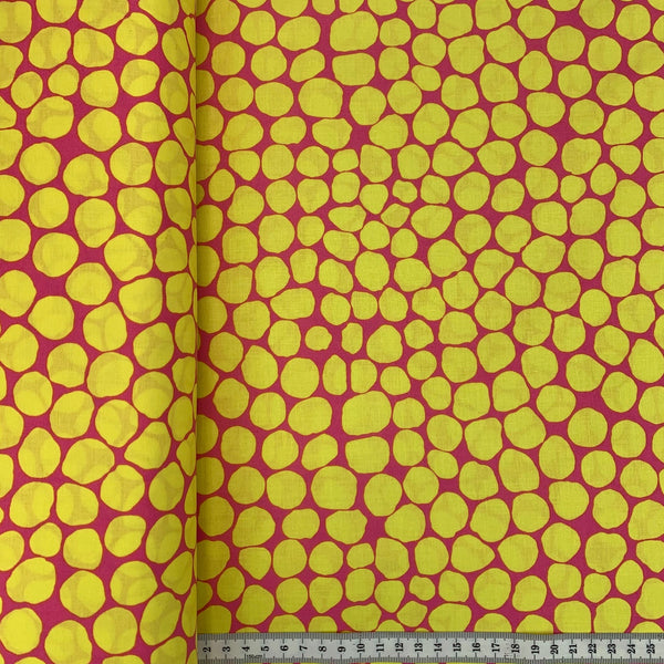 Kaffe Fassett Fabric Collection