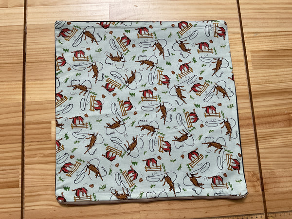 Assorted Cushions