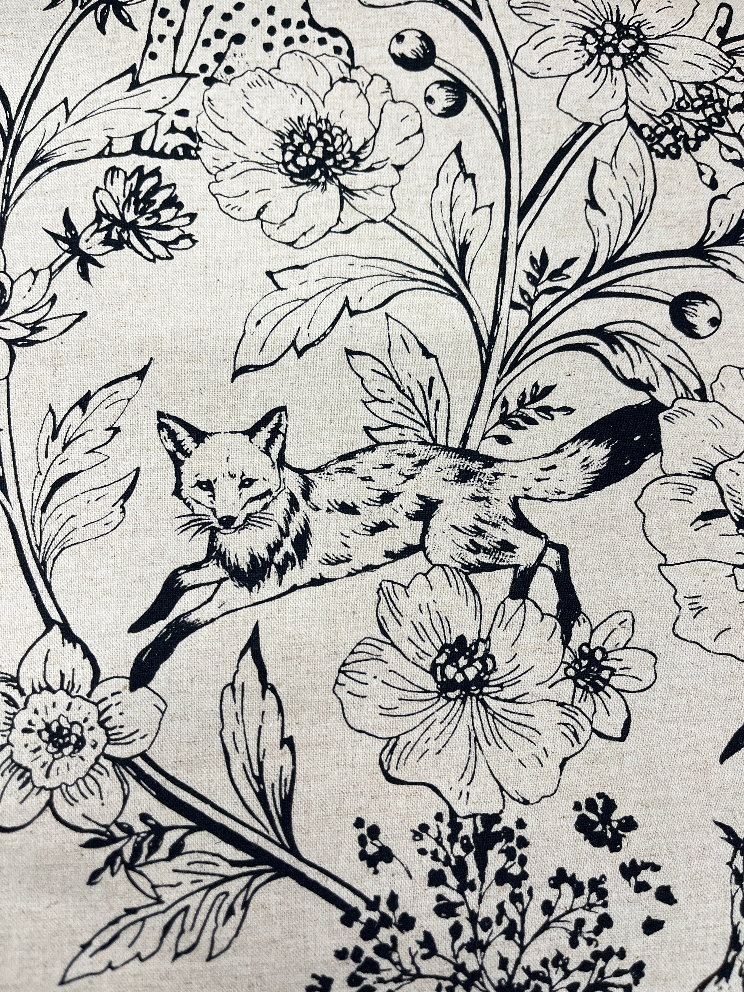 Enchino Wonders by Etsuko Furuya