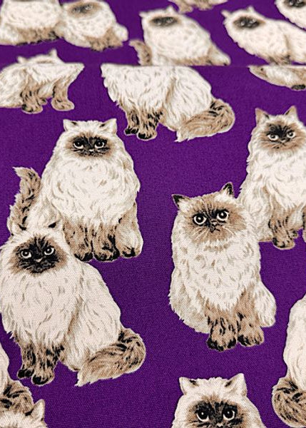 Pattern of fluffy cats on a purple background