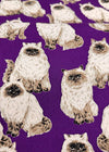 Pattern of fluffy cats on a purple background