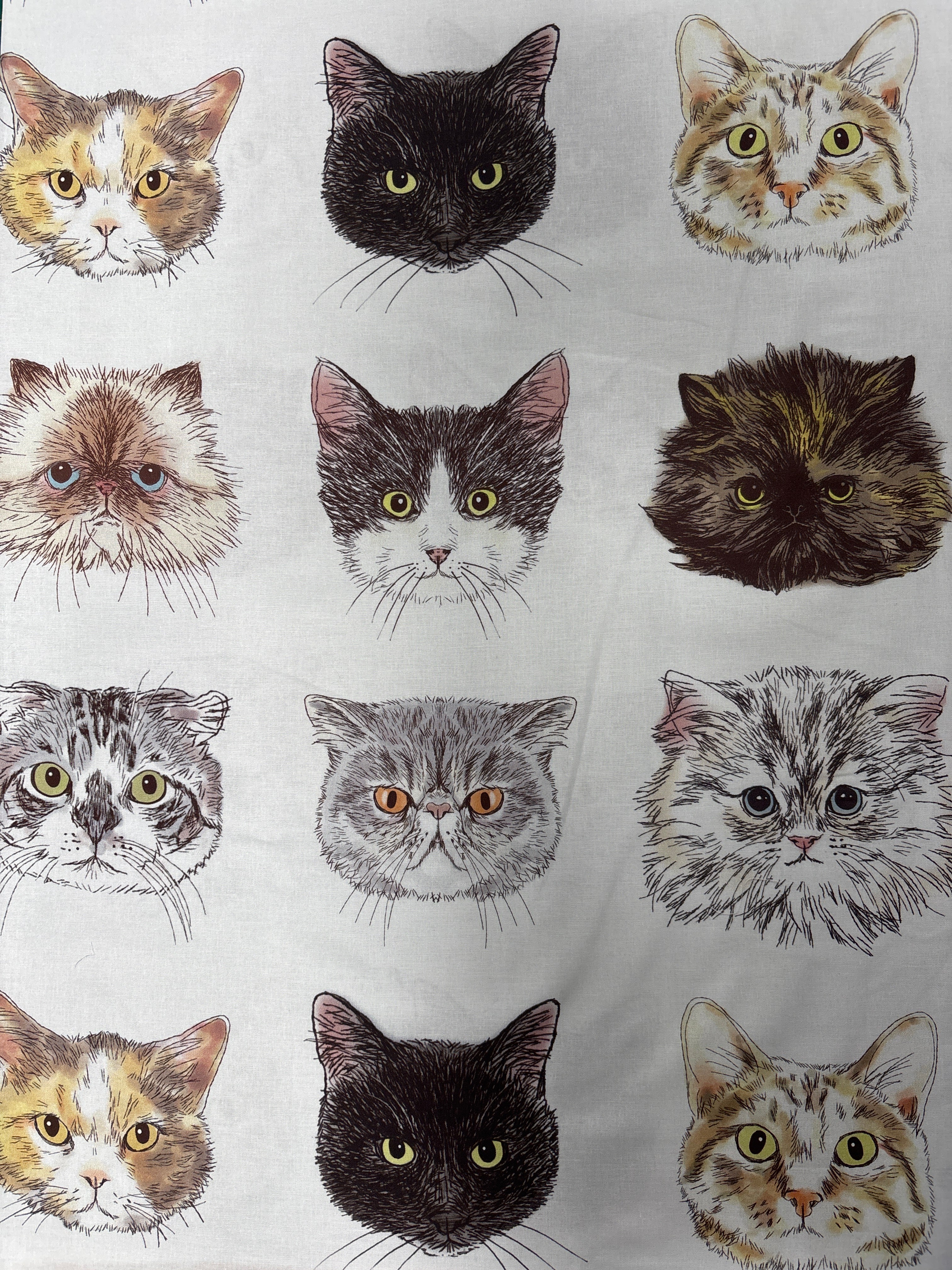 Kokka Cats & Animals Collection