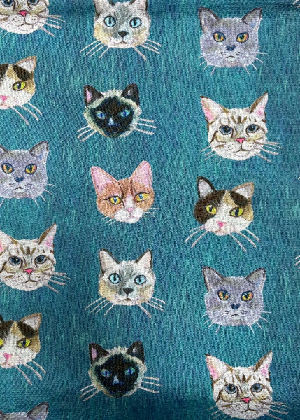 Pattern of cat faces on a blue background